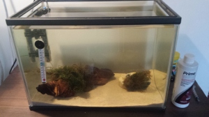 The entire tank pictured